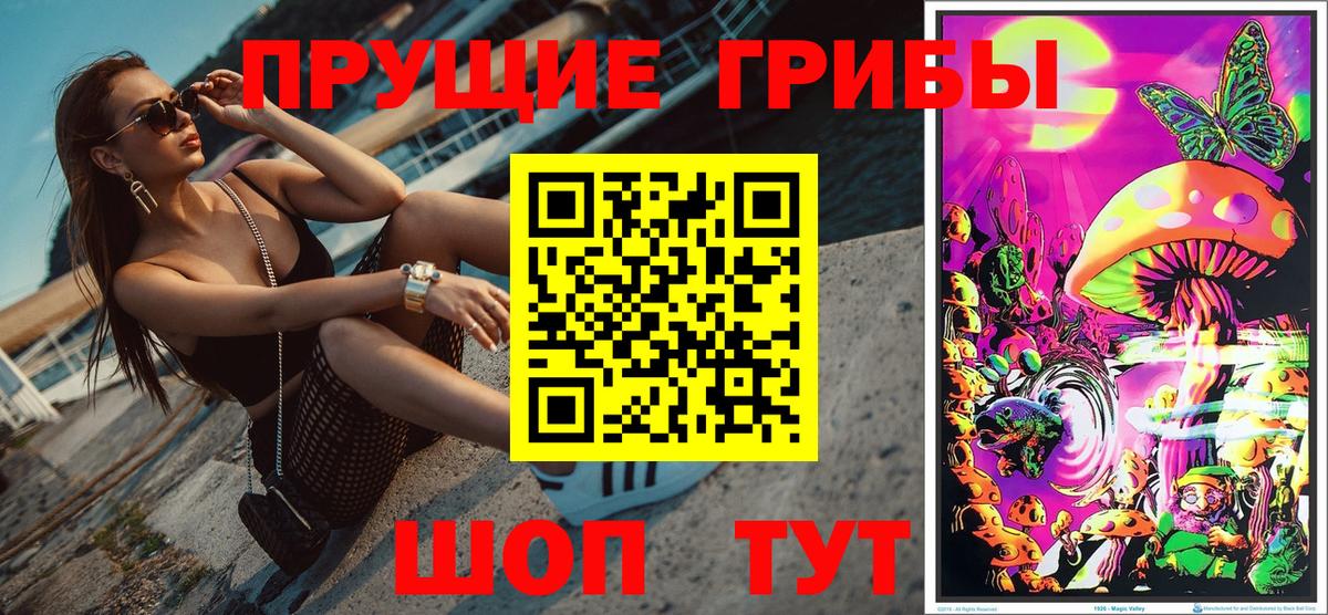 Михайловск  Псилоцибиновые грибы ЛСД  Вход с VPN  Галлюциногенные грибы GOLDEN TEACHER 