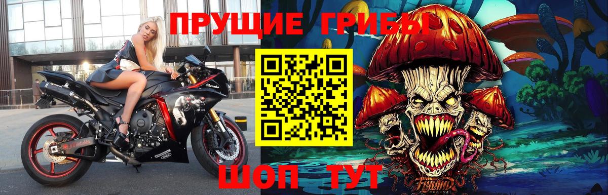 Псилоцибиновые грибы Psilocybe Михайловск
